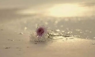 别等失去才挽回,珍惜眼前人，别等后悔才来挽回