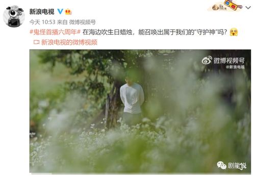 诗经中挽回爱情句子,诗经爱情挽回经典语句改编