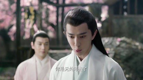 王爷挽回他的心,王爷收回心，爱回到她手中