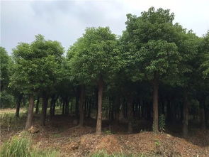 温州企业挽回信誉,温州企业重树信誉