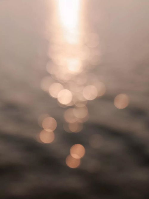 错过的感情怎么挽回,挽回错过感情的方法