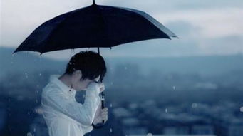 还是走了该怎么挽回,如何挽回已离去的恋人