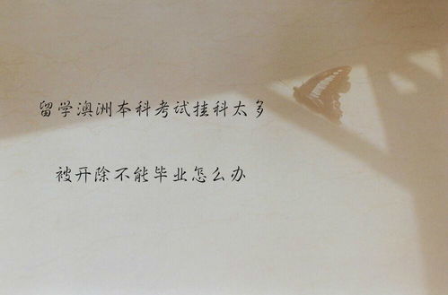 挽回不来的意思,不能挽回的局面，怎么办？