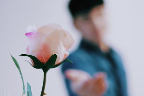 自己拒绝的女生怎么挽回，怎样才能挽回被拒绝的女孩？