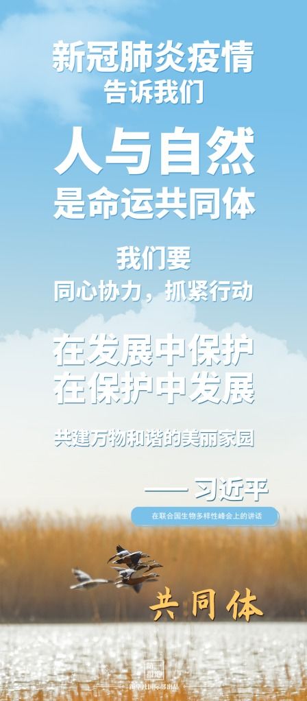 挽回破灭的家庭文案,重拾美好建立新家庭