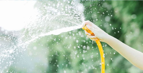 她把我删了怎么挽回,如何挽回她删掉我的情况？