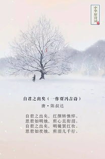 挽回感情诗句,重拾爱情的美好重拾美好的爱情