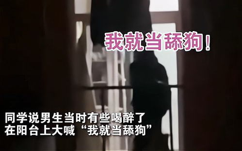 女友放弃挽回我了,女友决绝不挽回，分手无解