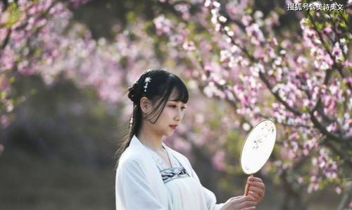 深情挽回刘师傅,感动人心的刘师傅之爱情故事