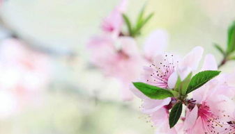 挽回后还能和好吗,“挽回之后，是否还能修复关系？”