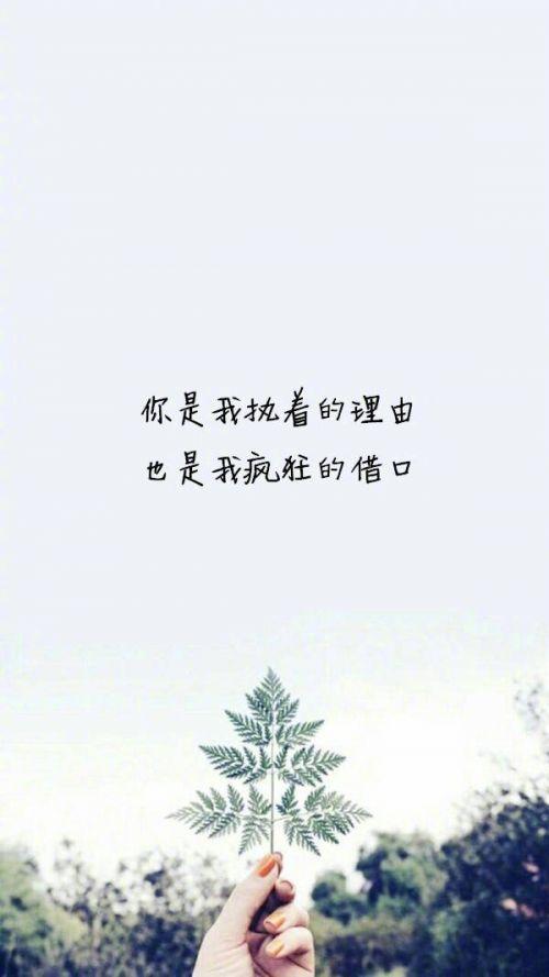 挽回爱情成长信,重新挽回爱情：致成长信