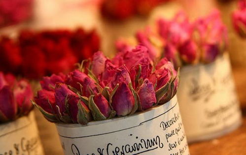 挽回能送玫瑰吗,挽回爱情是否适宜送玫瑰？