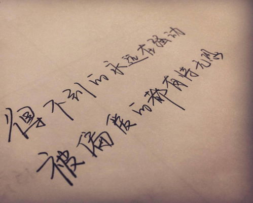 歌曲永远别想挽回,唤回无望，别再奢望