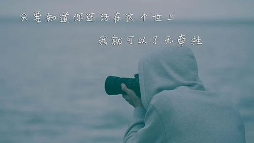 挽回爱情的文章标题,如何挽回爱情