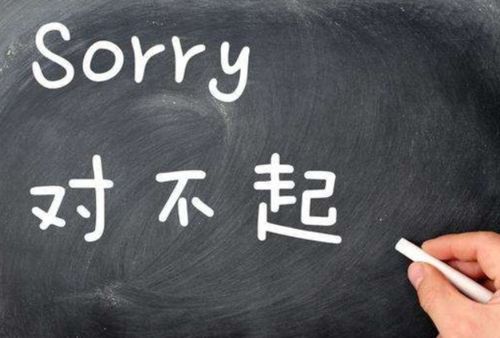 向女生道歉挽回的话,道歉挽回女生心重要，新标题：诚心道歉挽回女生