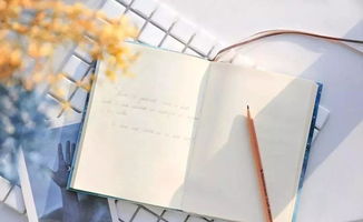 失去的工作怎么挽回,失去工作后的挽回方法