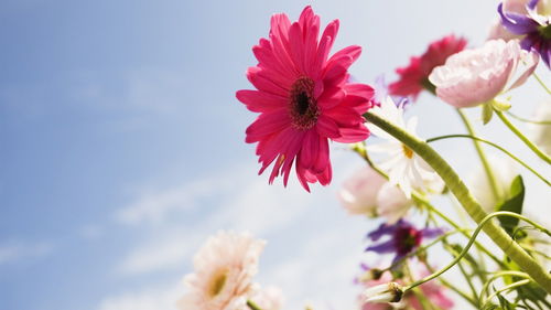 花镇情感挽回爱情,挽回爱情花镇情感=花镇挽回爱情