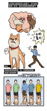 挽回光棍的最佳方法,走出光棍单身烦恼的最佳方法