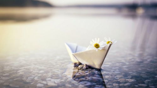 用偎挽回荒凉造句,挽回荒凉的努力，值得一试。