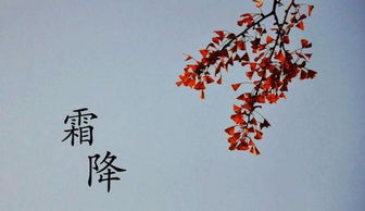 说错话挽回的诗,说错话后的挽回之诗