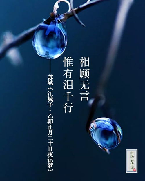 挽回损失的古诗,挽回损失，古诗唤醒商机