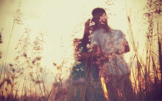 无心挽回青鸾,失去爱情的重量