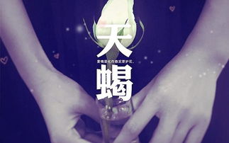 断联挽回双子女,成功挽回双子座爱情：有效断联策略