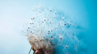 淡了关系怎么挽回，深度挽回：如何让渐行渐远的关系重新燃起火花？