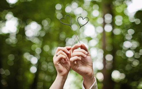 放不下应该挽回吗,感情出现危机时，是否应该挽救？