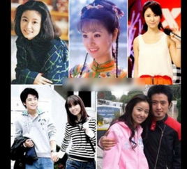 林志颖林心如分手复合挽回,林志颖林心如复合，重燃爱情！