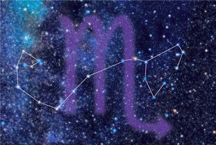 多久挽回天蝎男,如何快速挽回天蝎男