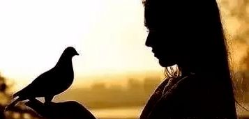 怎样挽回双子鸡男,如何成功挽回双子座男生