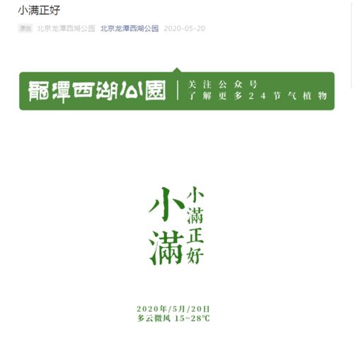 被人绿了怎么挽回,绿了如何挽回？中文40字以内