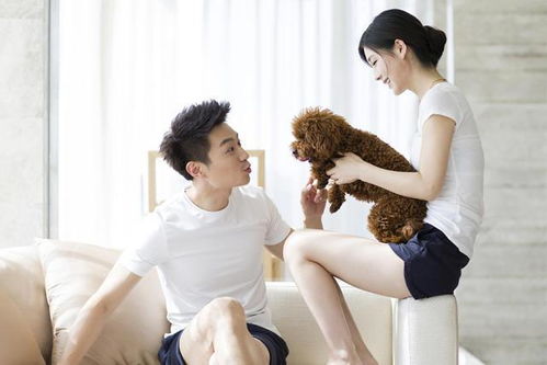 感情挽回的公司,挽回爱情专家服务