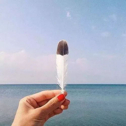 挽回生命的图片,拯救生命：让镜头同情与关注)