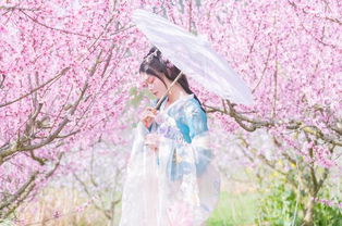 白羊女如何挽回爱情,如何让白羊女重新拥有爱情