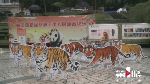 骑虎难下难以挽回残局,局面难收不得不决断：新标题