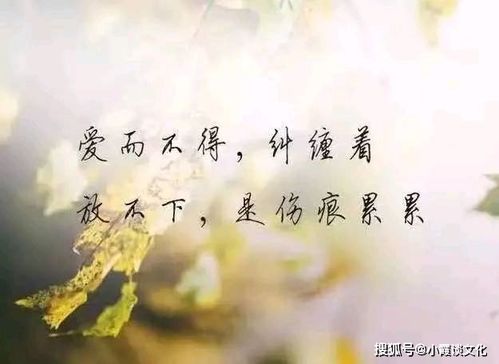 情人生气挽回句子,挽回情人心的句子推荐)