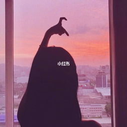 挽回by影子微盘,挽回爱情的方法