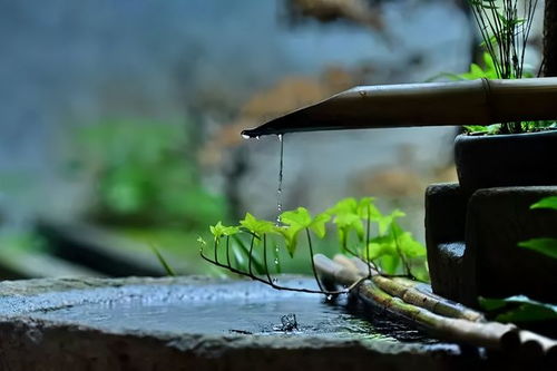 挽回如何拉近关系的人,如何拉近关系，让关系更亲密