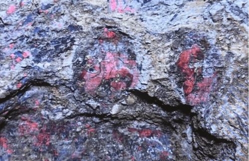 部队发现喝酒怎么挽回，部队发现酒喝了怎么办？挽救方法揭秘