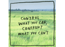 查看挽回婚姻的书籍,重修旧好，成功挽回婚姻