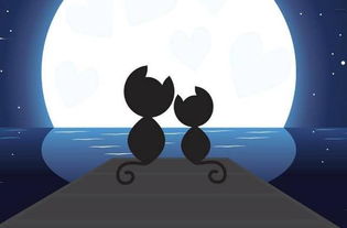 如何诚恳的挽回摩羯座,挽回摩羯座：建立信任重新开始)