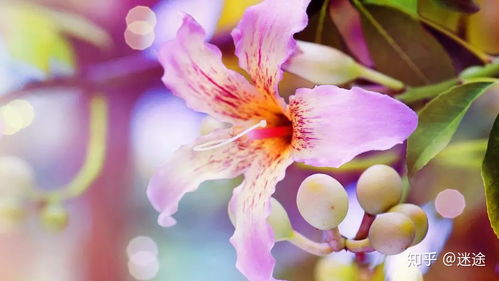 多久能挽回白羊男,如何挽回白羊男？