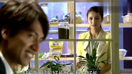 吴桐被总裁挽回,总裁成功挽回吴桐