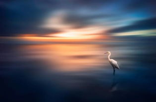 怎么挽回宝贵的生命,如何拯救珍贵生命)