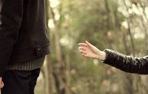 家暴了要挽回老婆,如何挽回受家暴的妻子