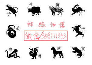 小鹿感情挽回可靠吗,“小鹿感情挽回”方案可靠吗？