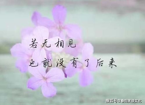 挽回情人的语句经典,重拾爱情的秘诀