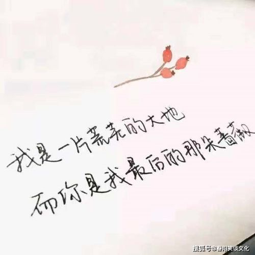 深情挽回女朋友句子,感性挽回女友